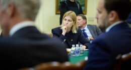 Стефанішина про удари по порту Новоросійськ