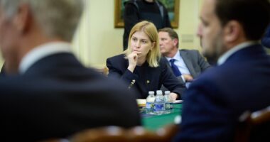 Ольга Стефанішина про мирні переговори