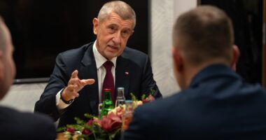 Новий прем'єр-міністр Чехії Андрей Бабиш