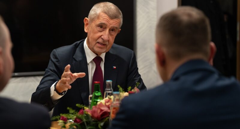 Новий прем'єр-міністр Чехії Андрей Бабиш
