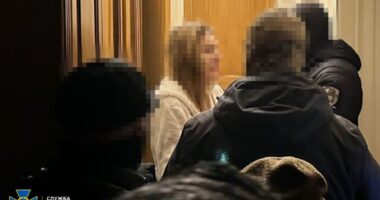 Затримання нардепки Анни Скороход