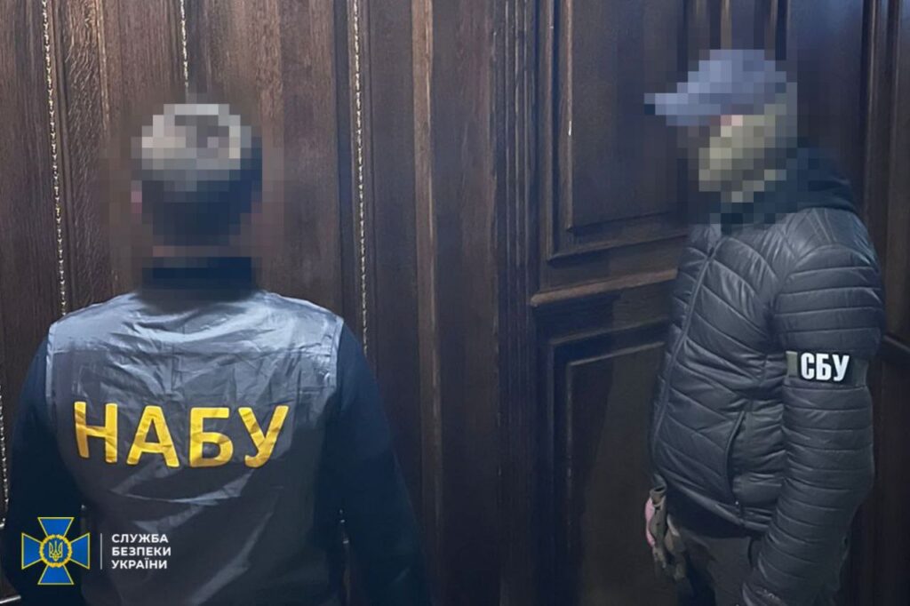 Нардепці Скороход, в якої були обшуки, оголосили про підозру 2