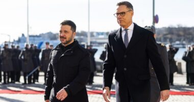 Володимир Зеленський і Александр Стубб