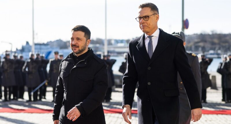 Володимир Зеленський і Александр Стубб