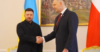 Навроцький знову зустрінеться із Зеленським