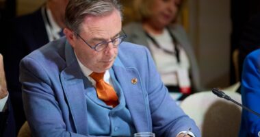 Барт де Вевер про надання Україні допомоги