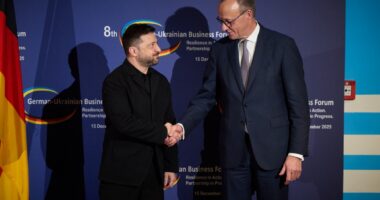 Володимир Зеленський і Фрідріх Мерц