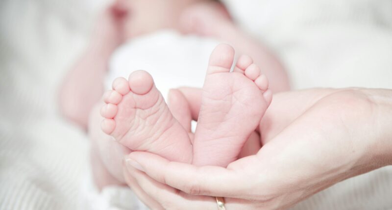 демографічна криза в Україні