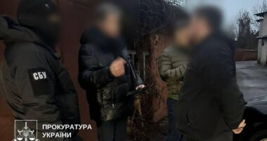 затримання Шейка