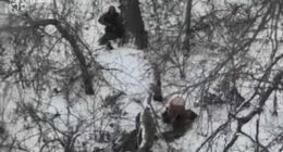 росіяни на Донеччині розстріляли українських полонених