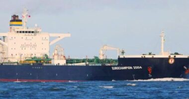 Україна ввела санкції проти 700 суден тіньового флоту РФ