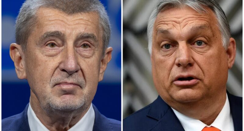 Прем'єр-міністр Чехії Андрей Бабіш та прем'єр-міністр Угорщини Віктор Орбан