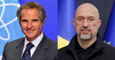 Денис Шмигаль і Рафаель Гросі