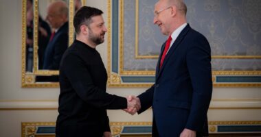 Зеленський і Гілі