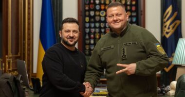 Володимир Зеленський і Валерій Залужний