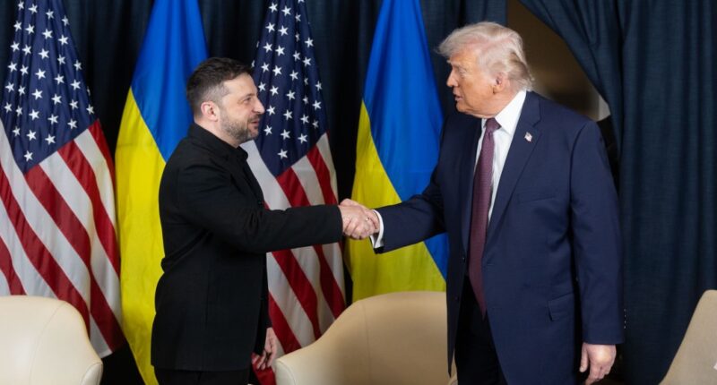 Зеленський розповів про зустріч із Трампом