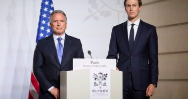 Віткофф про вільну економічну зону