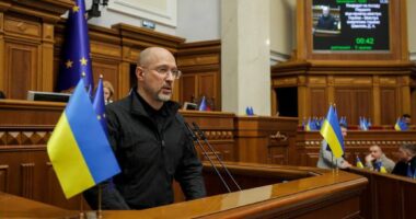 Міністр енергетики України Денис Шмигаль