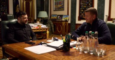 Зеленський та Залужний