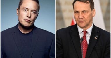 Міністр закордонних справ Польщі Радослав Сікорський та засновник компанії SpaceX Ілон Маск