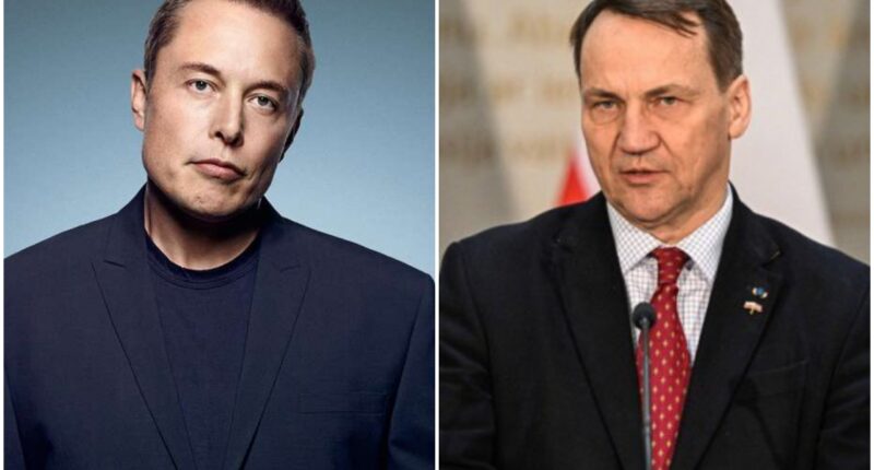 Міністр закордонних справ Польщі Радослав Сікорський та засновник компанії SpaceX Ілон Маск