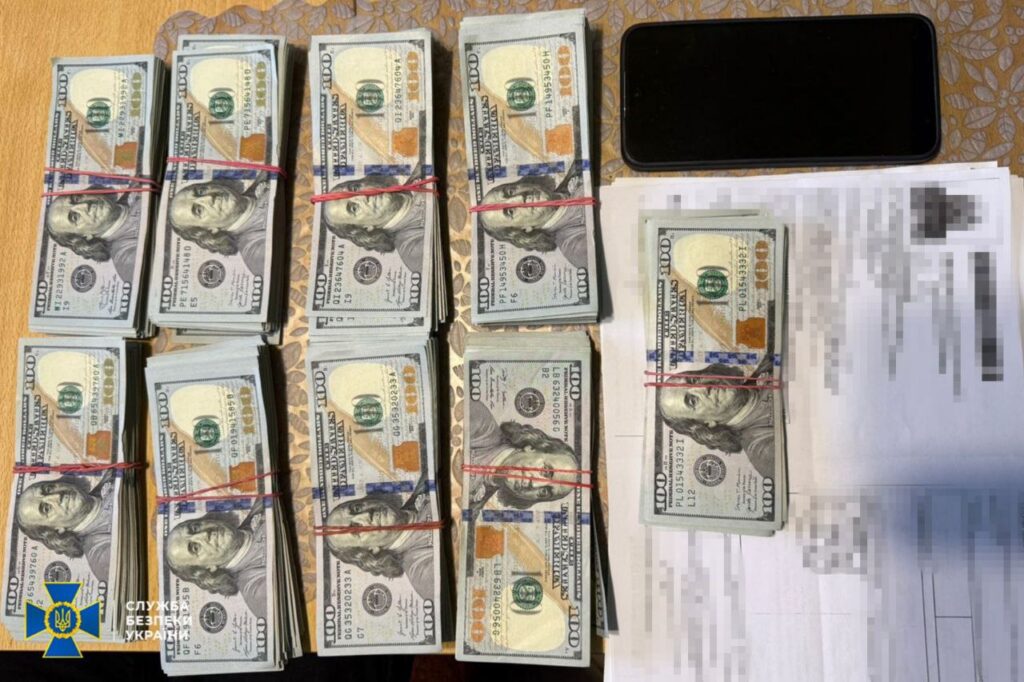 СБУ знайшла понад $300 тис. в очільниці однієї із районних ВЛК на Дніпропетровщині 3