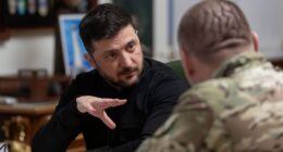 Зеленський Малюк