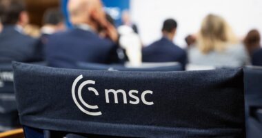 Мюнхенська конференція з безпеки