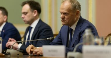 Дональд Туск