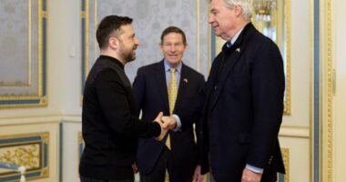 Володимир Зеленський і сенатори США