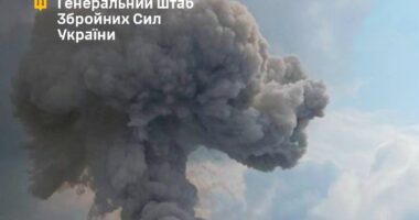 ЗСУ уразили пункти управління і склад боєприпасів РФ на Запоріжжі та Донеччині