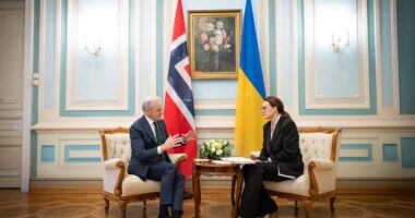 Юлія Свириденко