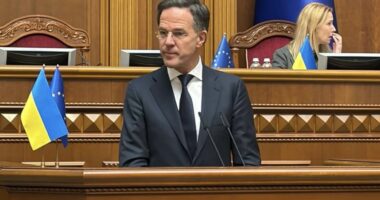 Генсек НАТО Марк Рютте