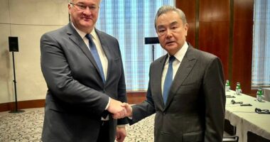 Глава МЗС України Андрій Сибіга з китайським колегою