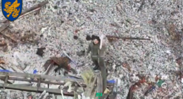 В Україні окупанти добровільно здалися у полон і потягнули за собою інших