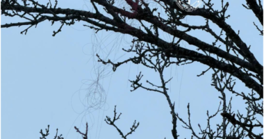 Оптоволокно