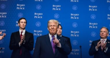 Дональд Трамп