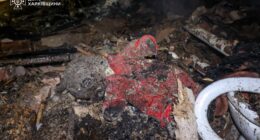 Зеленський про загибель дітей