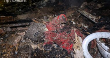 Зеленський про загибель дітей