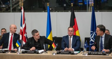 Федоров про міжнародну допомогу