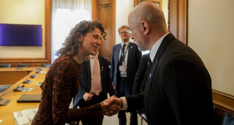 Шмигаль про обладнання для ТЕС