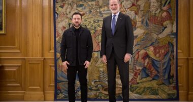 Володимир Зеленський і король Іспанії