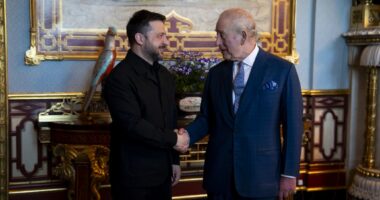 Володимир Зеленський і король Чарльз