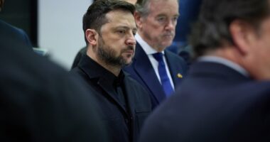 Володимир Зеленський