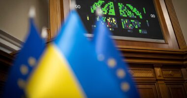 Рада голосування