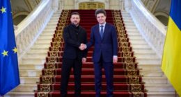 Зеленський та Нікушор Дан