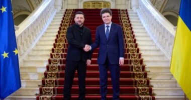 Зеленський та Нікушор Дан