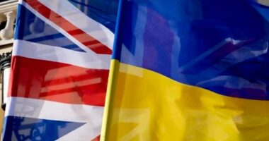Британія виділить доадткові кошти на культуру України