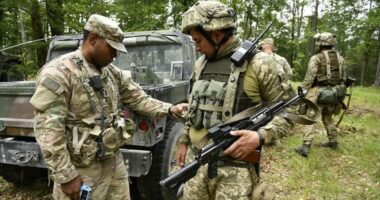 Навчання, ЗСУ, НАТО