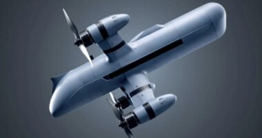 Дрон-перехоплювач UEB-1